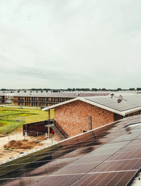 lowres 30062026 sunbeam project Huissen thijsblomfotografie 81