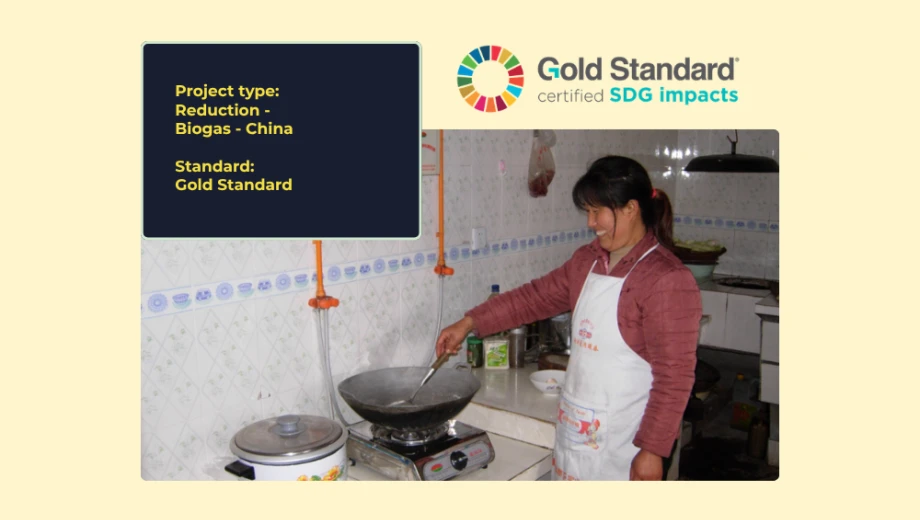 Reduction biogas
