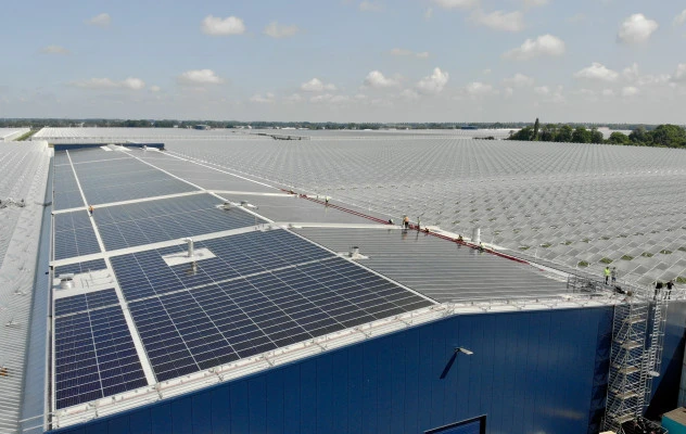 Sunbeam Luna project paprikakwekerij 2